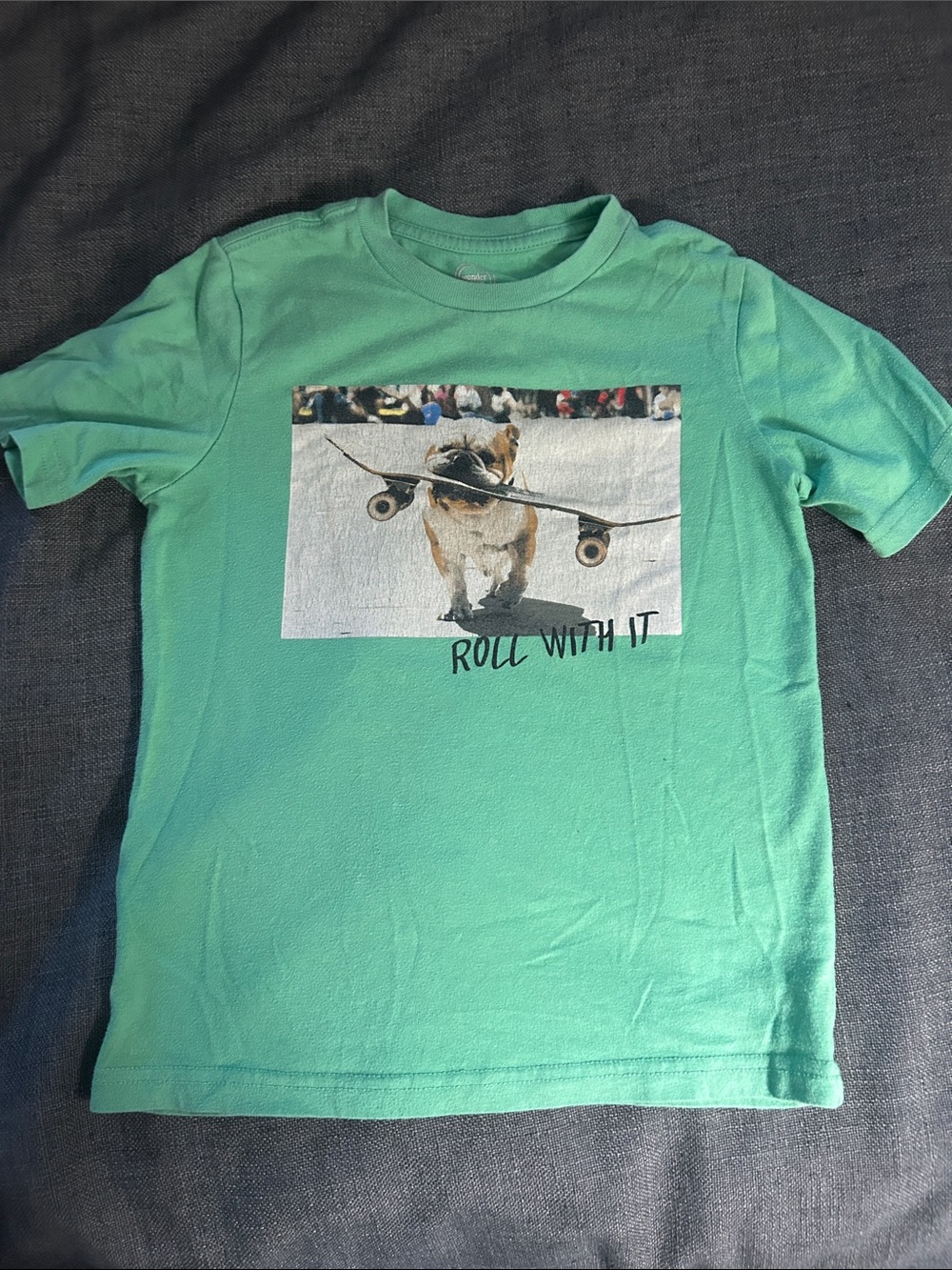 Kids 'Roll With It' Skateboard Dog Graphic Tee - Mint